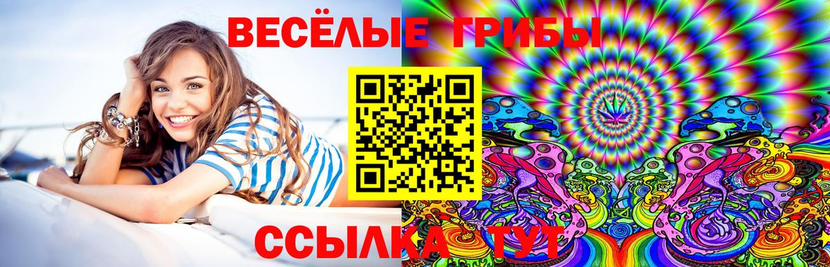  COCAIN Алатырь