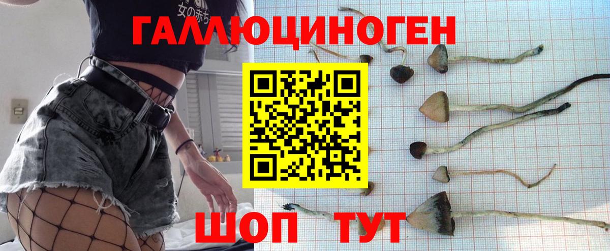 Псилоцибиновые грибы ЛСД  Алатырь  наркошоп  Псилоцибиновые грибы ЛСД 