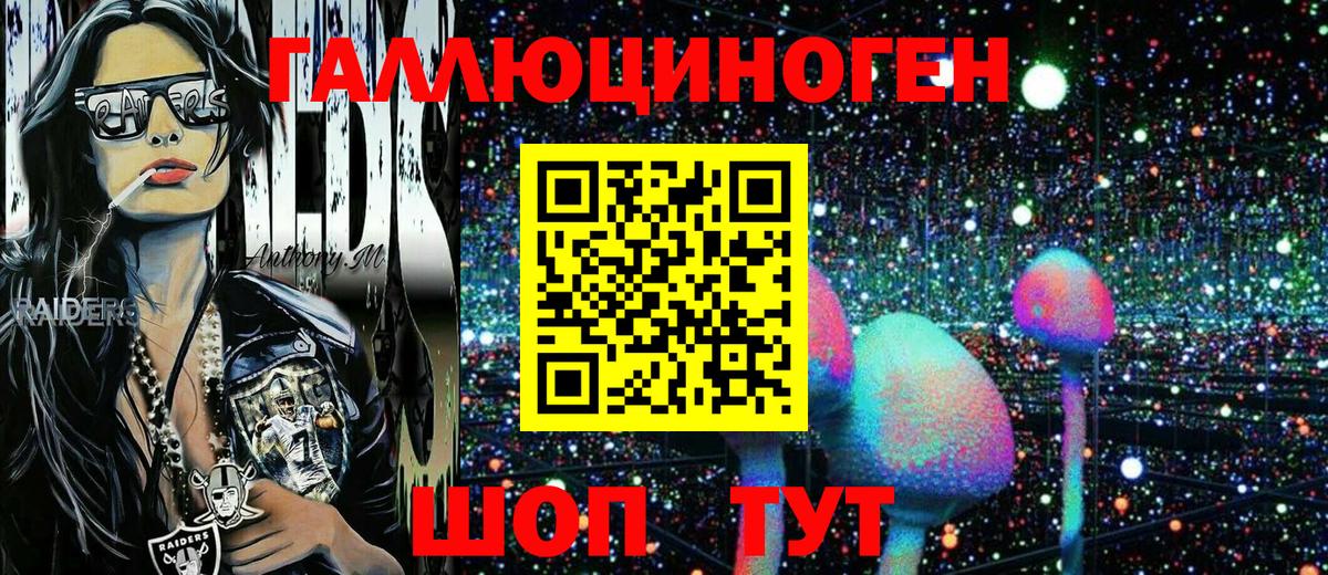 Псилоцибиновые грибы Psilocybe Алатырь